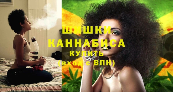 мдпв Костерёво