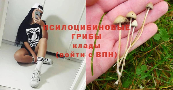 мескалин Корсаков