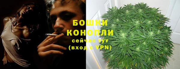 мдпв Костерёво