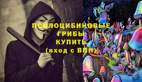 каннабис Коряжма