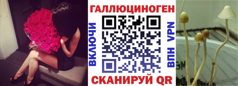Псилоцибиновые грибы ЛСД  Купить закладки  Балей 