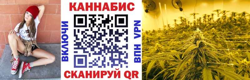 Купить где  Балей  Бошки Шишки ГИДРОПОН 